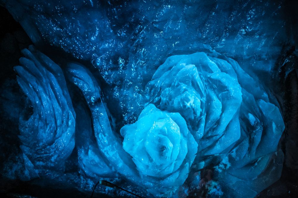 Фотография автора vanessa elbin