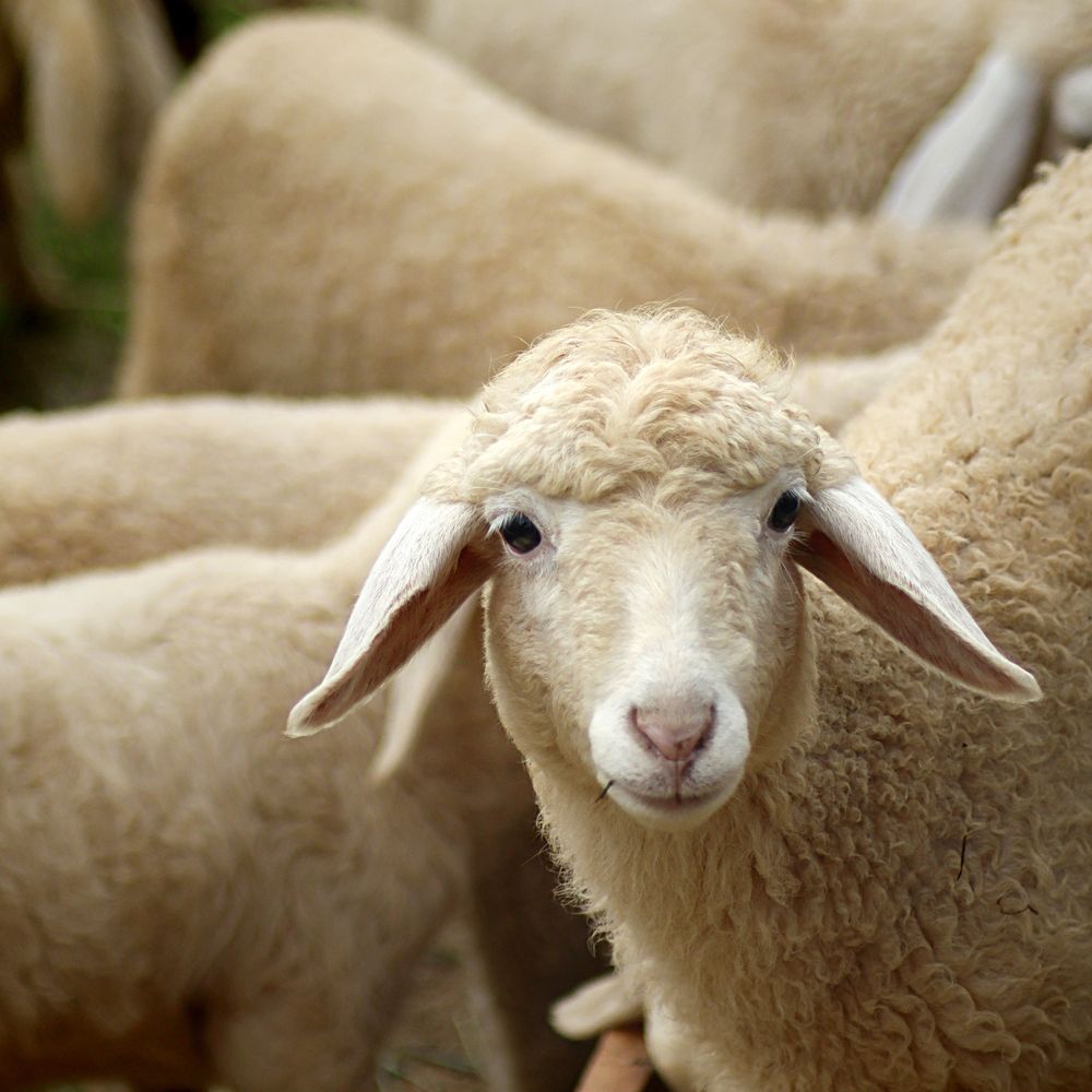 Photograph by Максим Тельманов