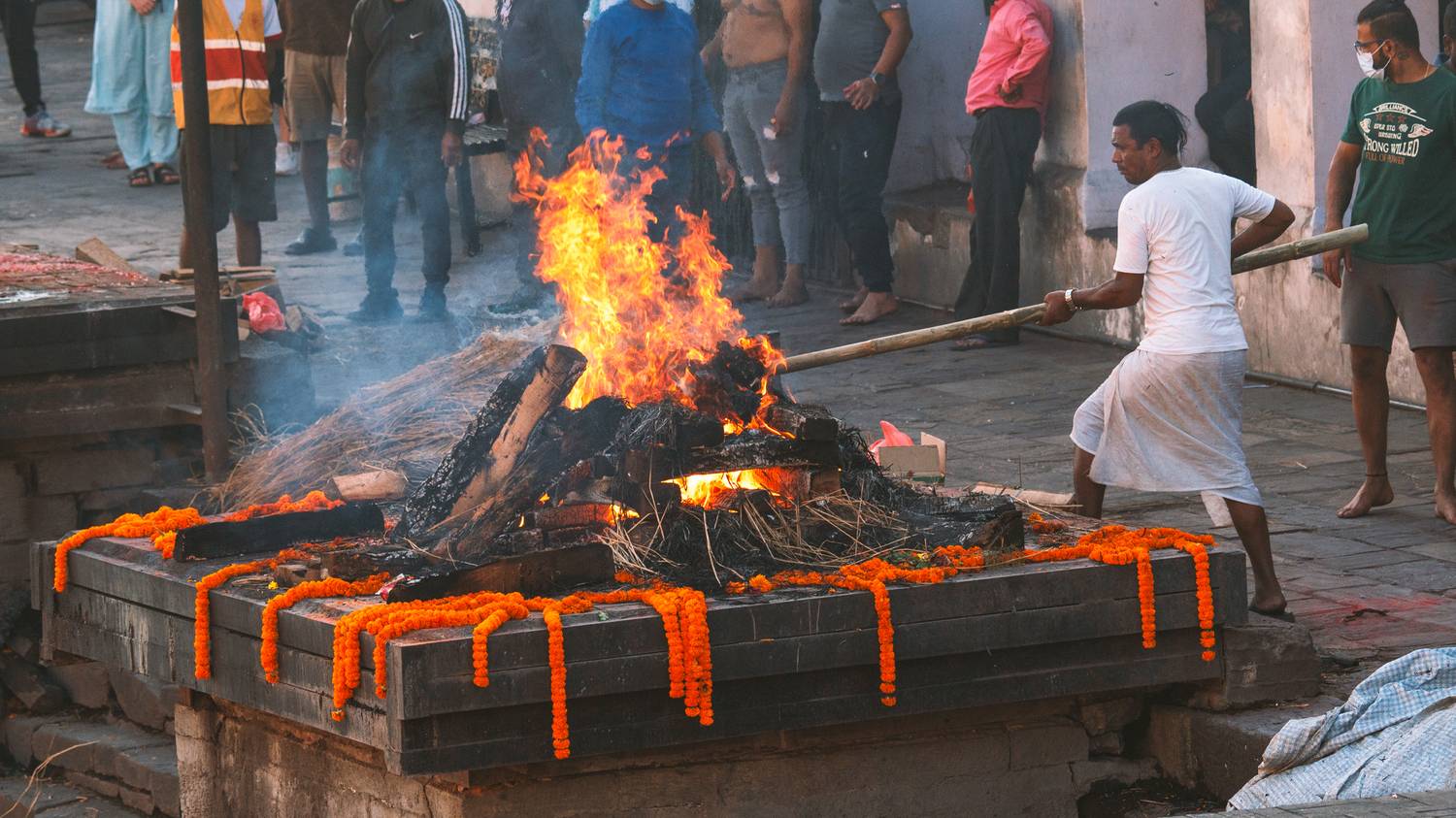 Фотография #11970780