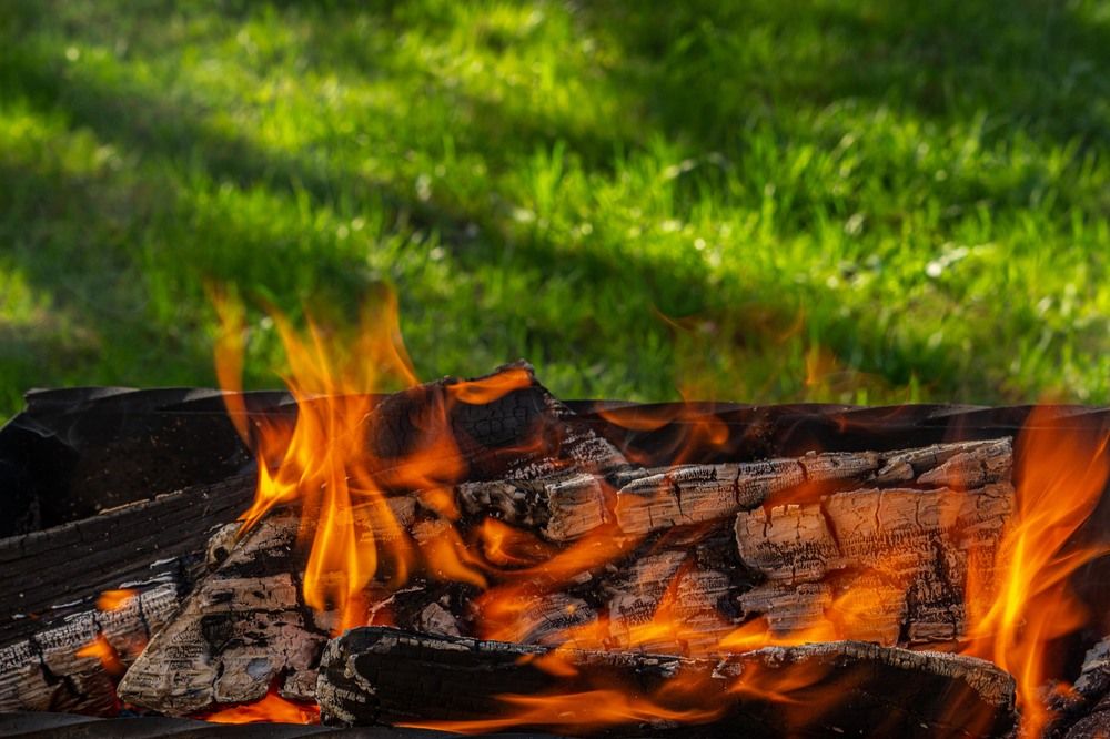 Фотография автора Александр Довганюк