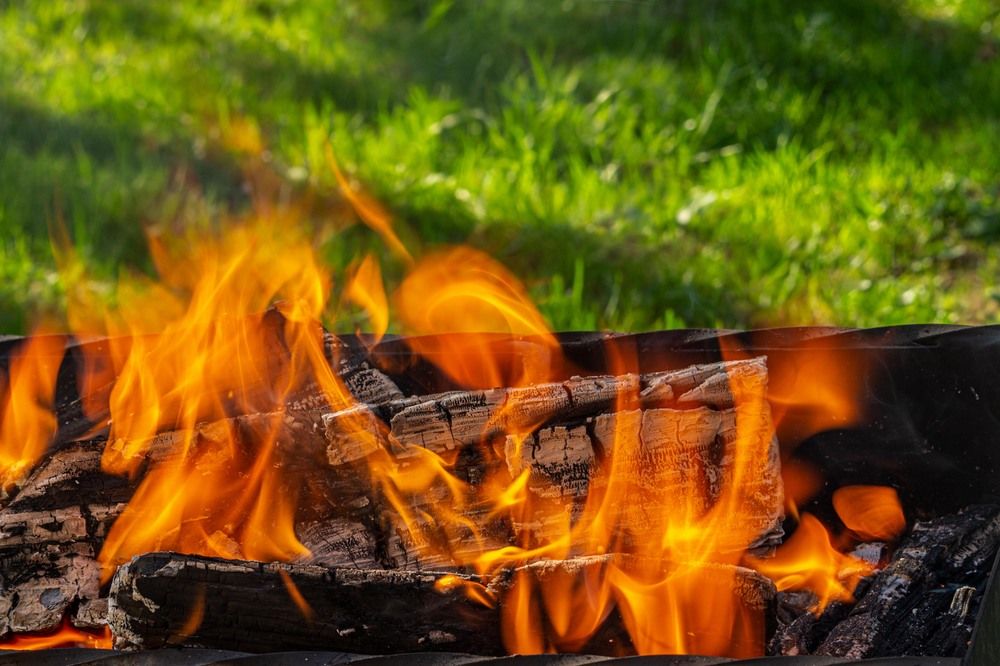 Фотография автора Александр Довганюк