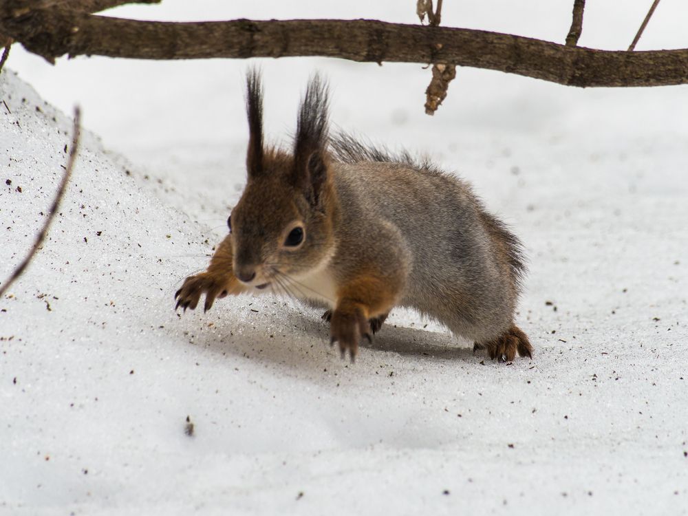 Фотография автора Татаринов Валерий