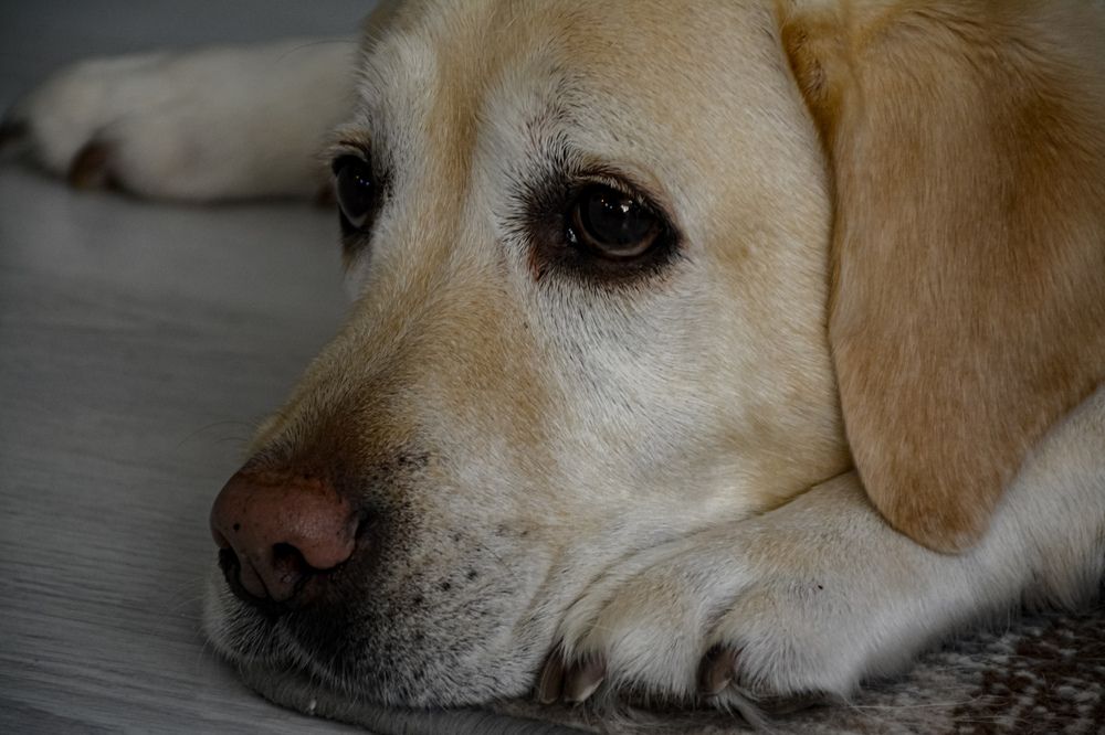 Photograph by Людмила Баймухаметова