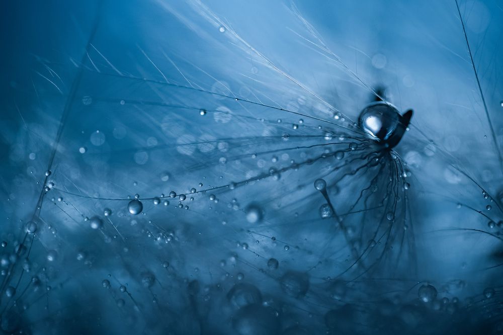 Photograph by Анна Бобкова