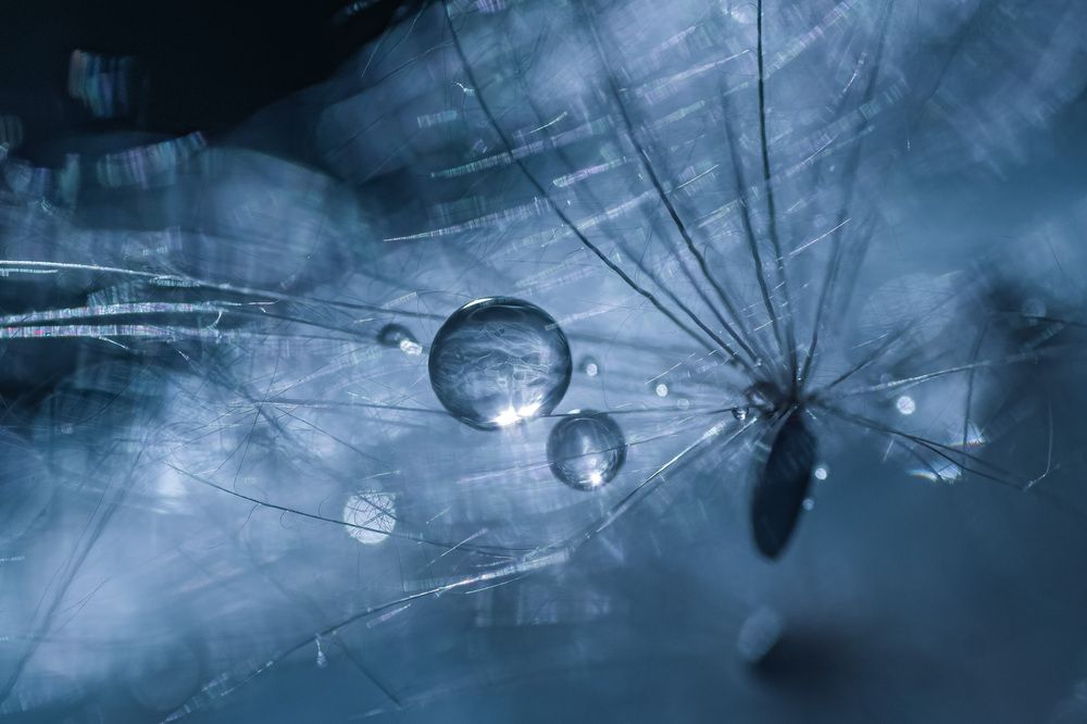 Photograph by Анна Бобкова