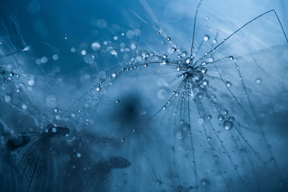 Photograph by Анна Бобкова