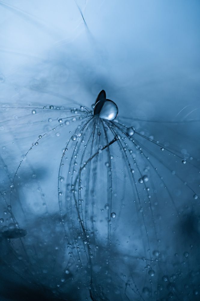 Photograph by Анна Бобкова