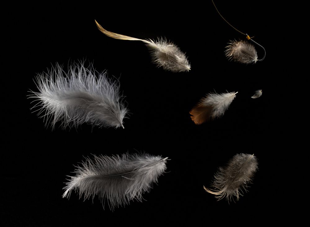 Фотография автора Роман Москвичев