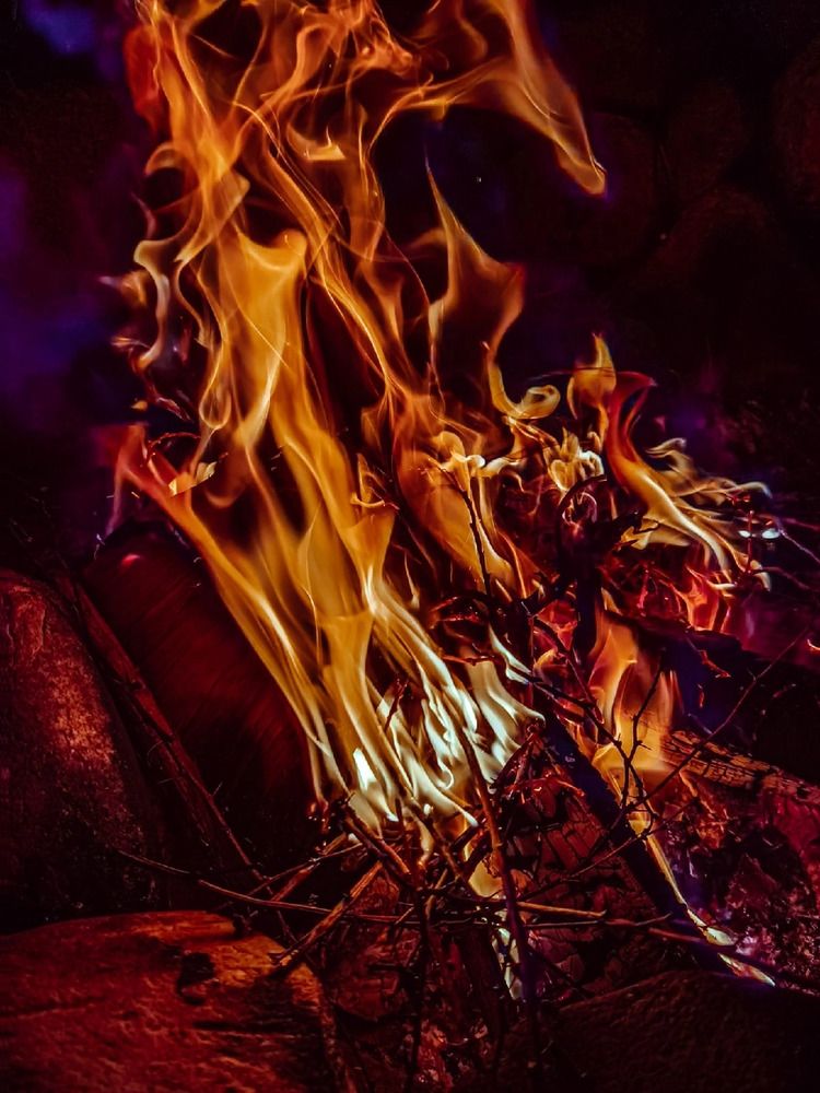 Photograph by Екатерина