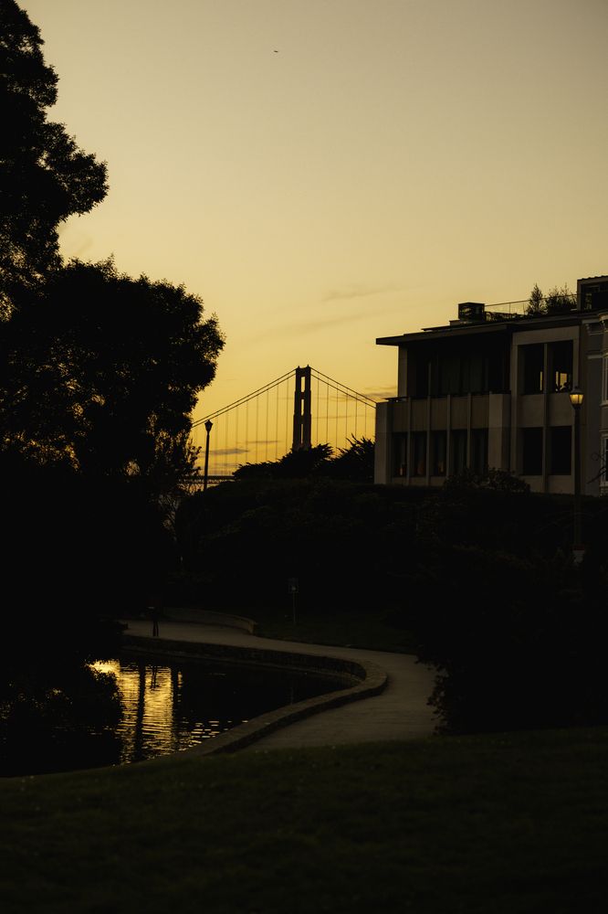 Photograph by HIRA SINGH