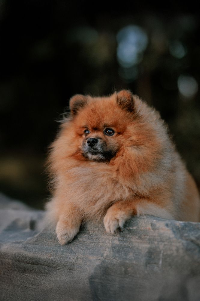 Photograph by Алёна Губинская