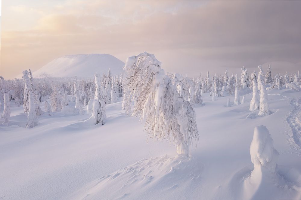 Фотография автора Kozlov Sergey