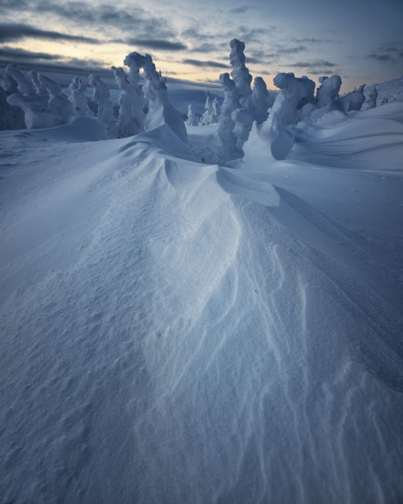 Фотография автора Kozlov Sergey