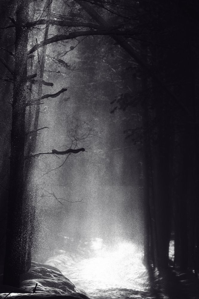 Photograph by Ilya Merkulov