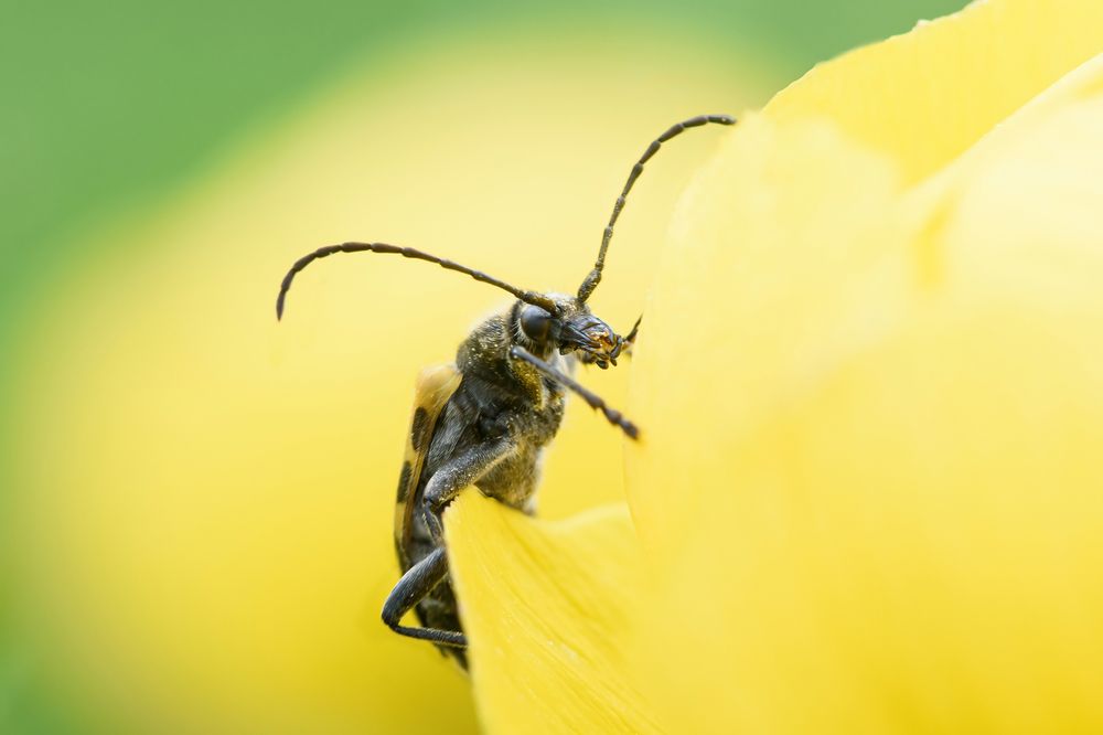 Фотография автора Мария Рохмистрова