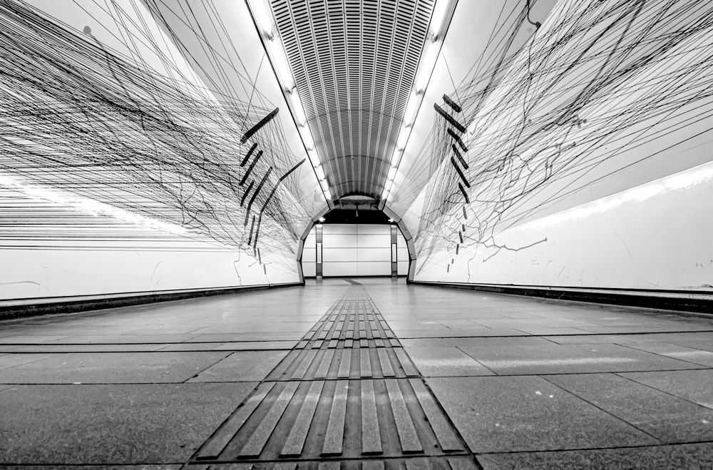 Photograph by Eva Wiedemann