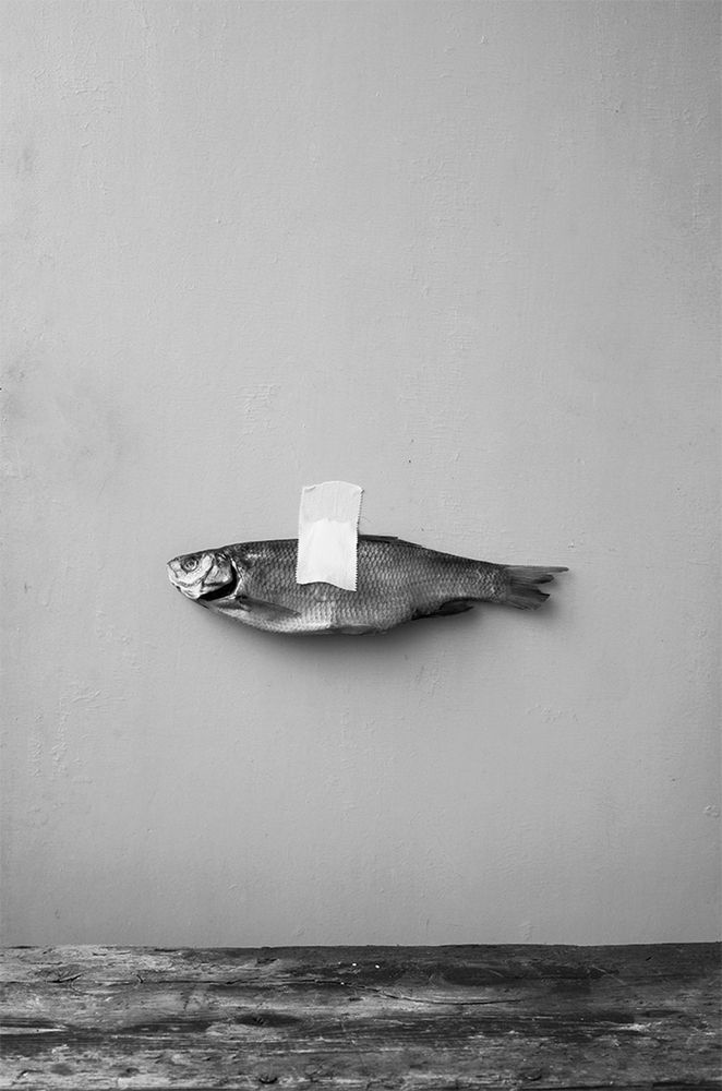 Photograph by Анна Статейко