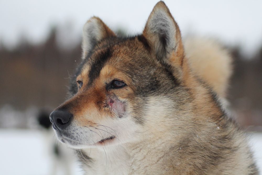 Photograph by Екатерина Филина