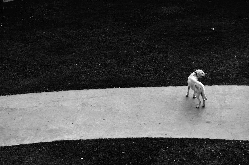 Photograph by fuat cimok