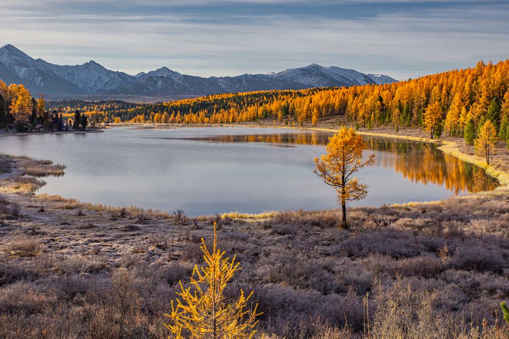 Photograph by Елена Павлова