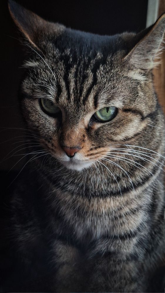 Photograph by Татьяна Кириллова