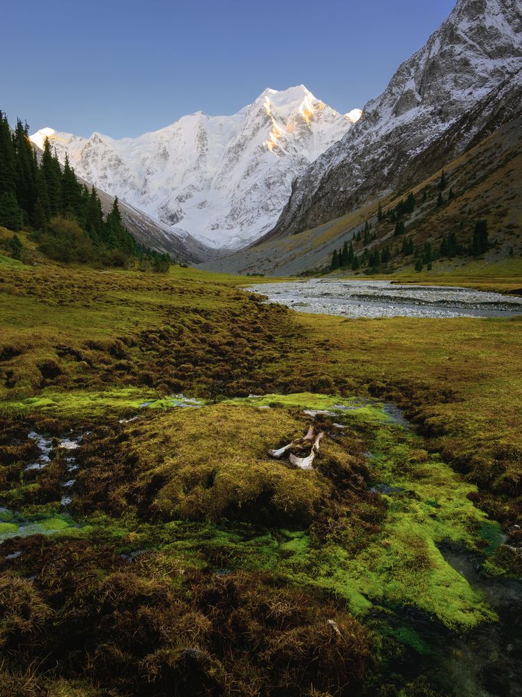 Photograph by Михаил Шаньгин