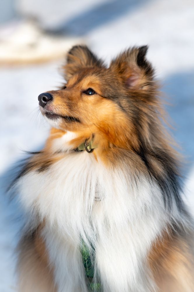 Фотография автора Виталий Гавронский