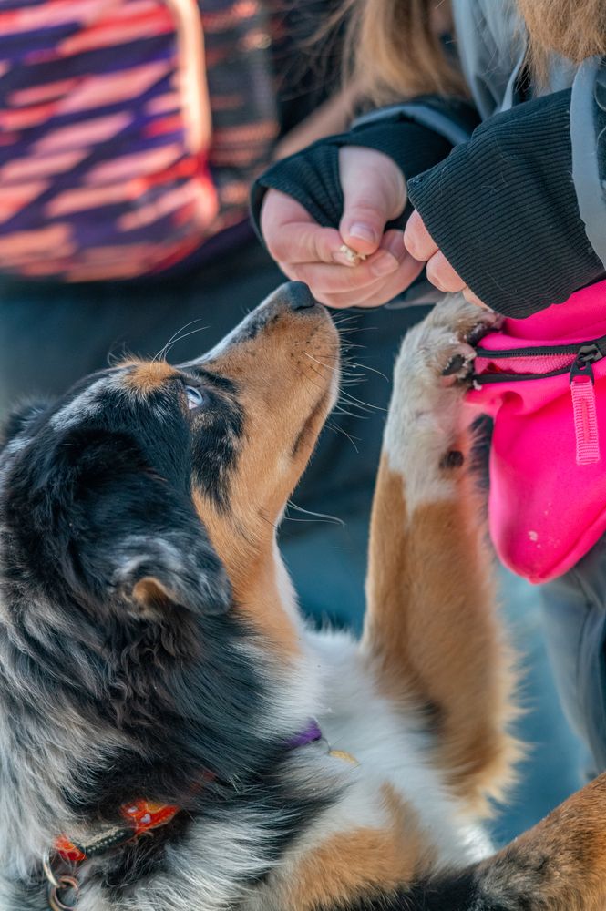 Фотография автора Виталий Гавронский