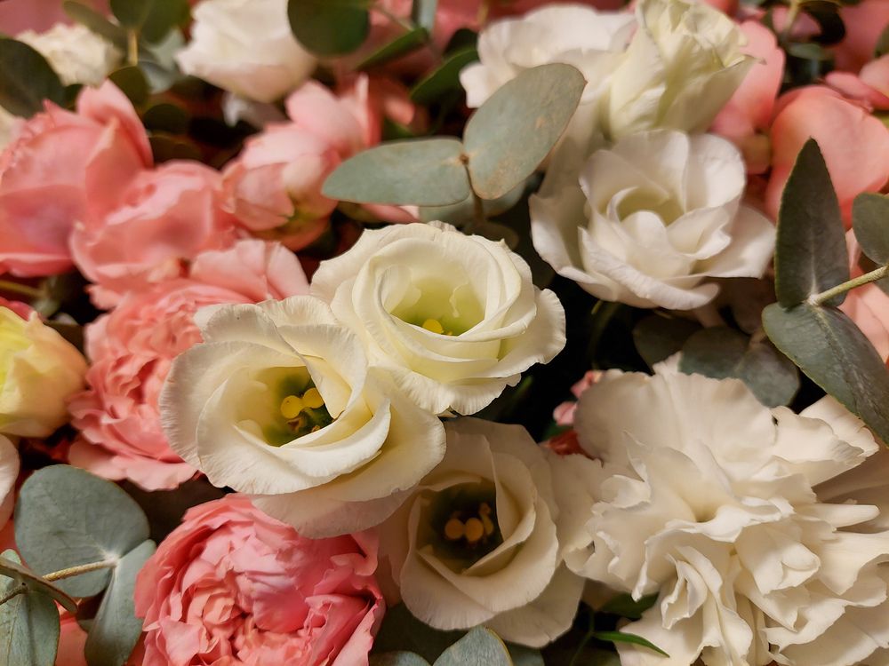 Фотография автора Светлана Дунаева