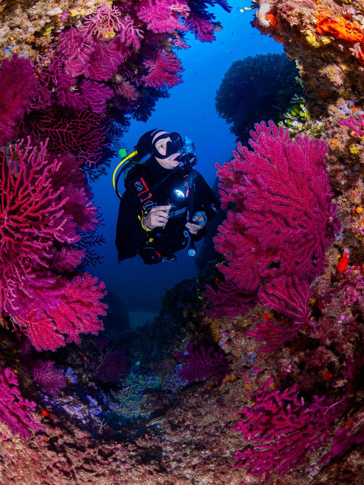 Фотография автора Francisco Sedano