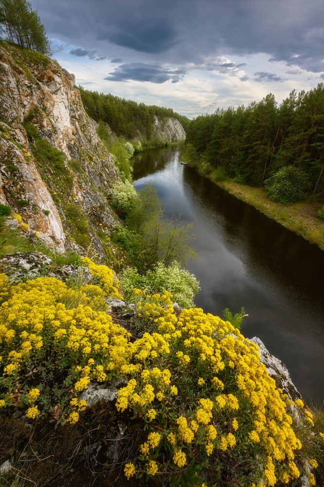 Photograph by Михаил Шаньгин