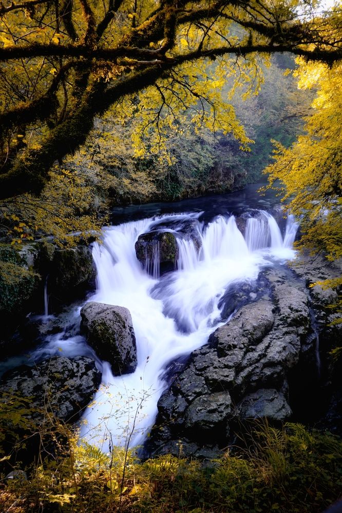 Photograph by Tatiana Meshcheryakova