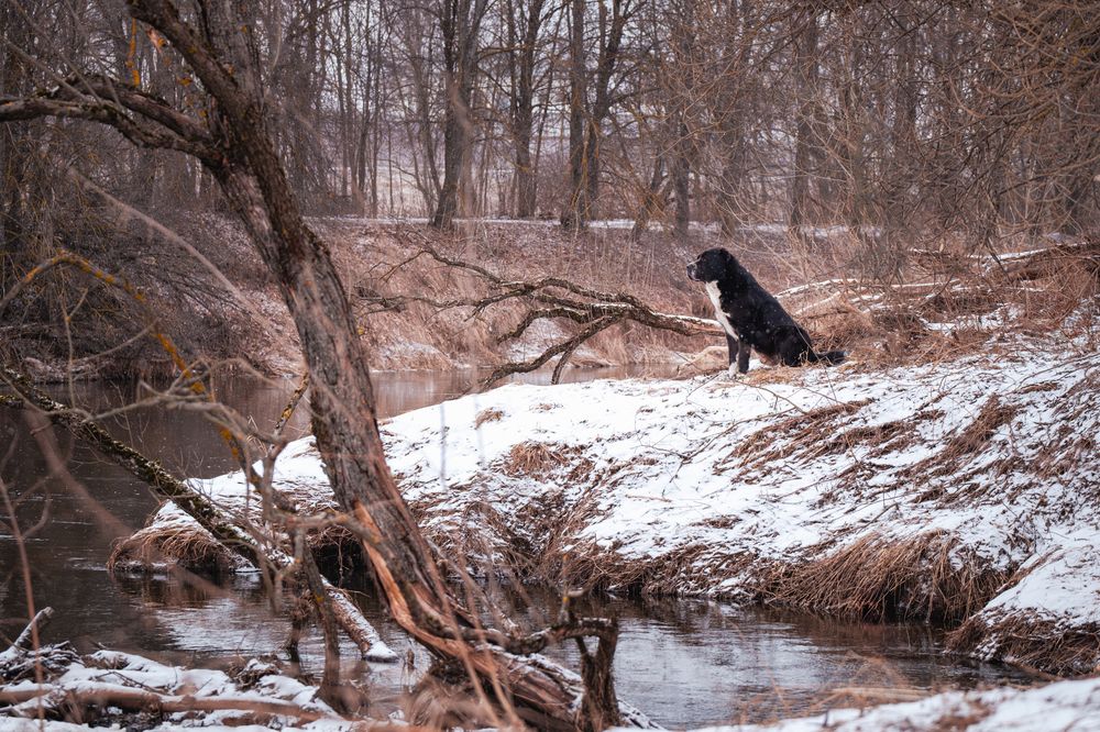 Photograph by Dina Damotseva