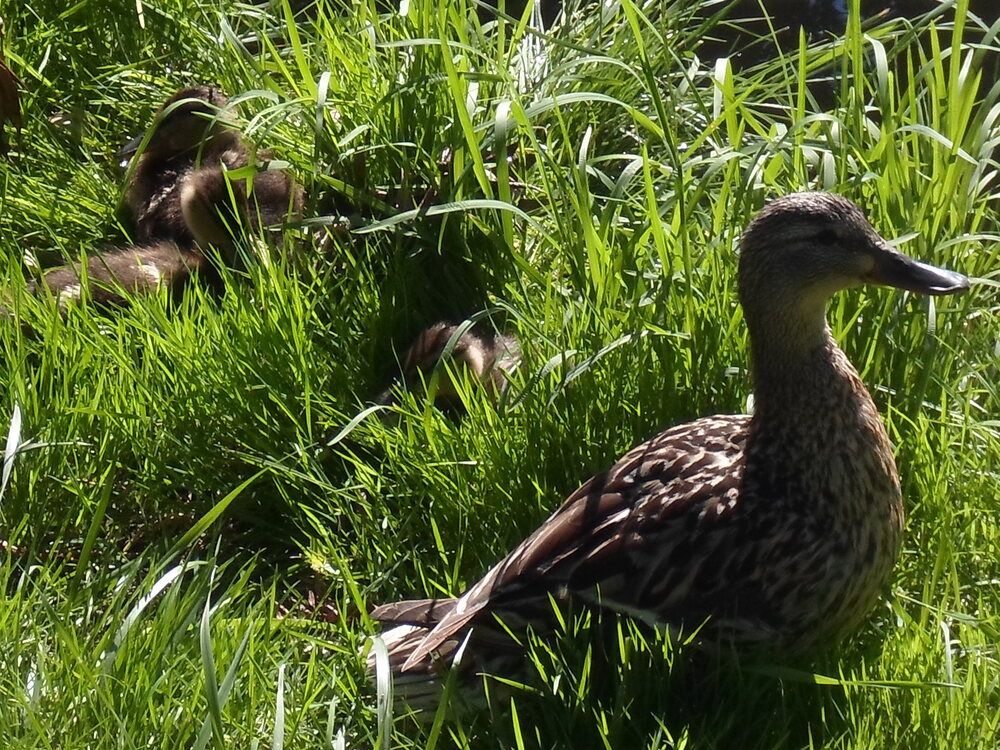 Photograph by Михаил Сербаев