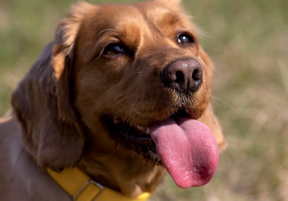 Фотография автора Ираида Гайфуллина