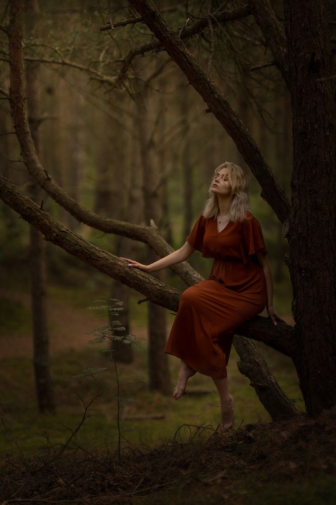 Photograph by Anna Szczęsna