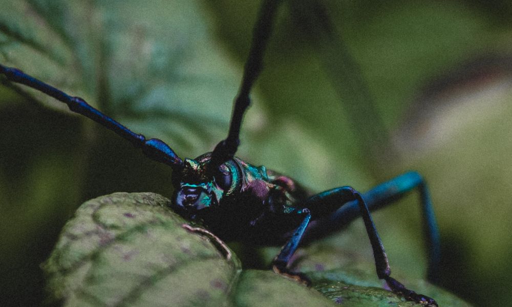 Photograph by Диана Козел