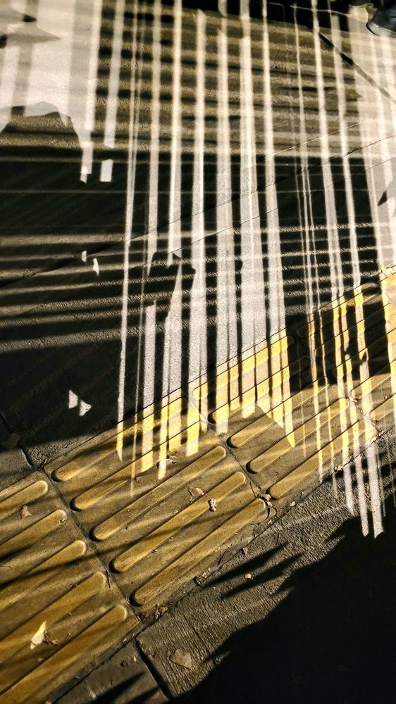 Photograph by Rahele Almassi