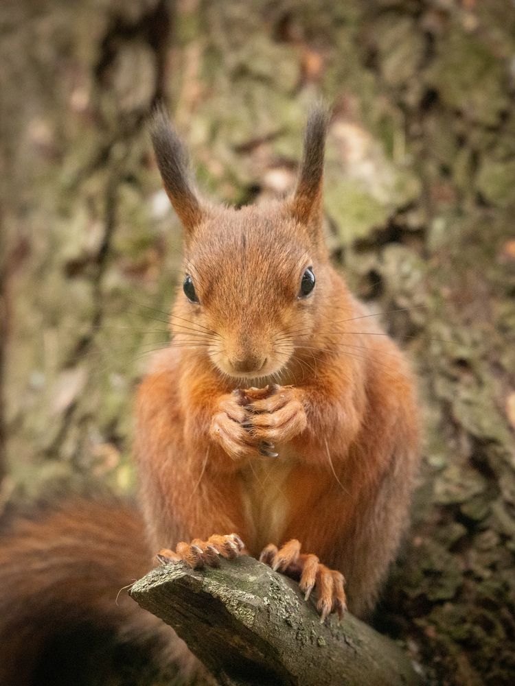 Photograph by Бравичева Анастасия