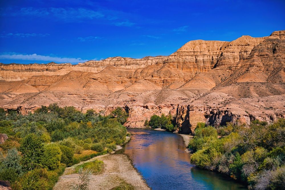 Photograph by Михаил Ноеренчук