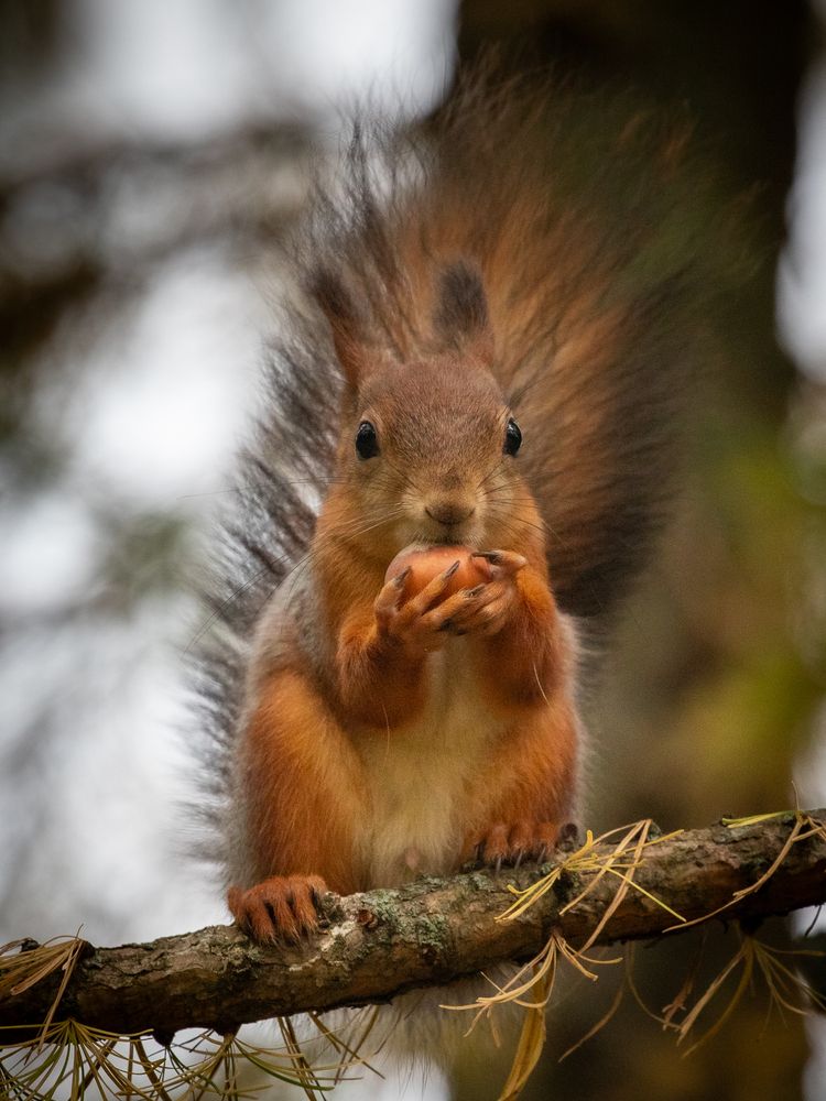 Photograph by Бравичева Анастасия