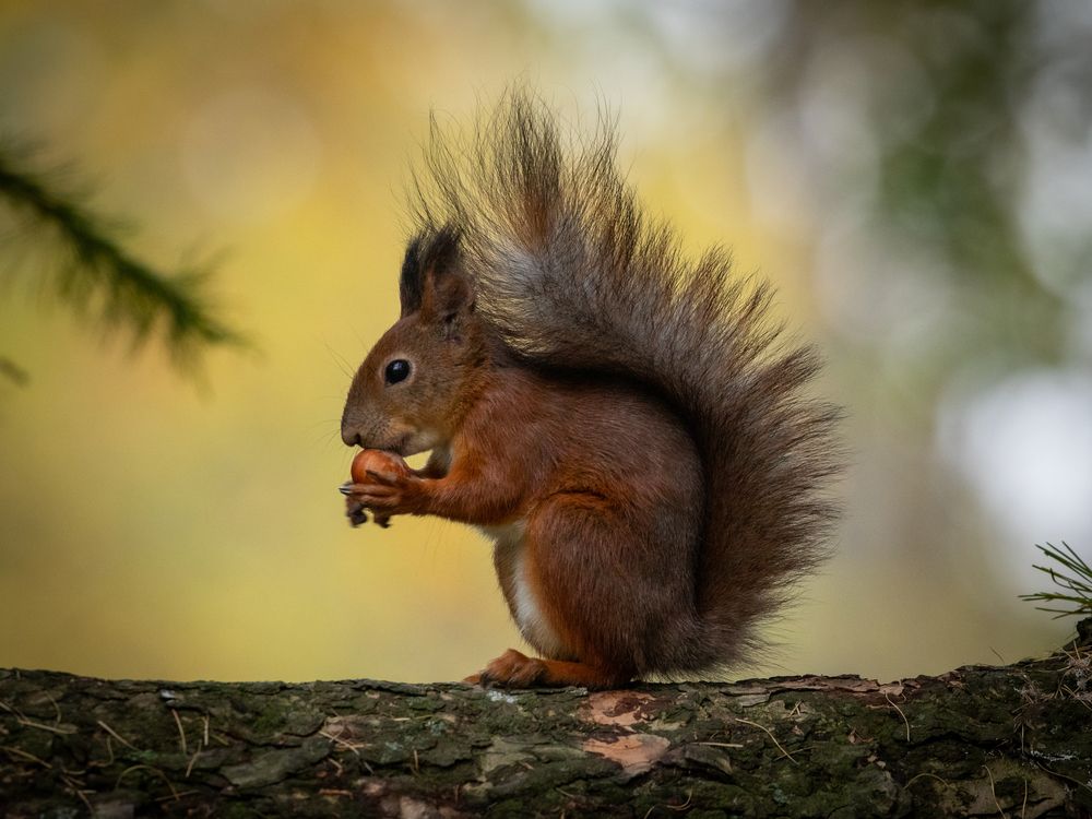 Photograph by Бравичева Анастасия