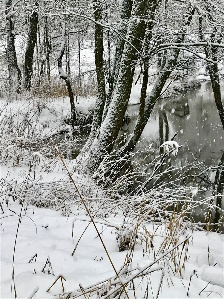 Photograph by Надежда Ткаченко