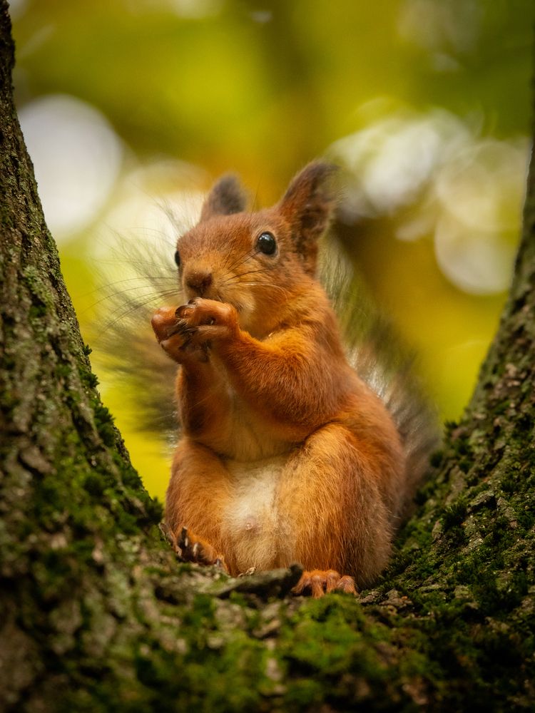 Photograph by Бравичева Анастасия