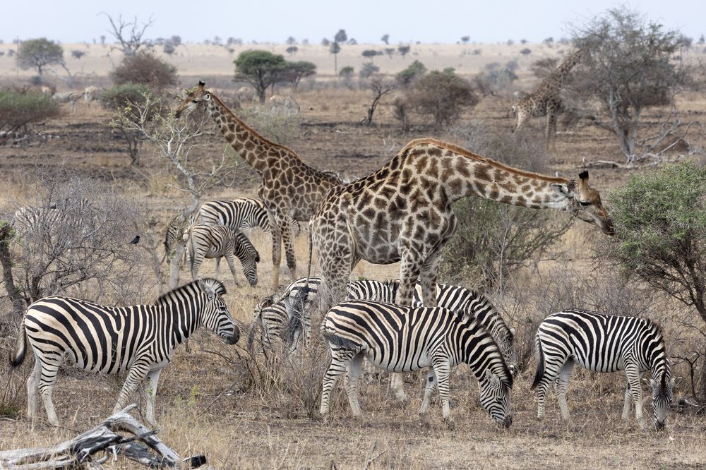 Photograph by Alfonso Roldan Losada