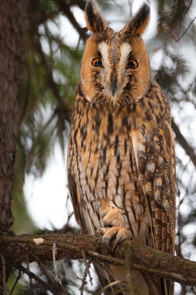 Маникюр по моде