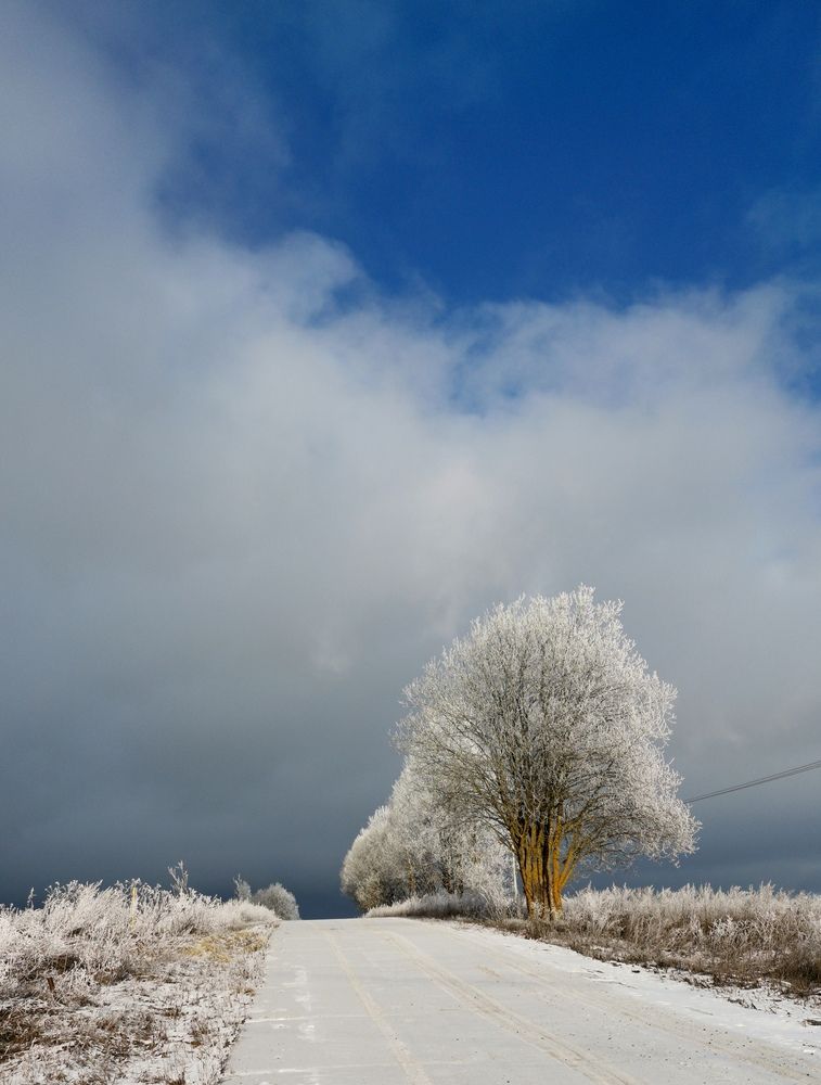 Photograph by Юлия Фомина