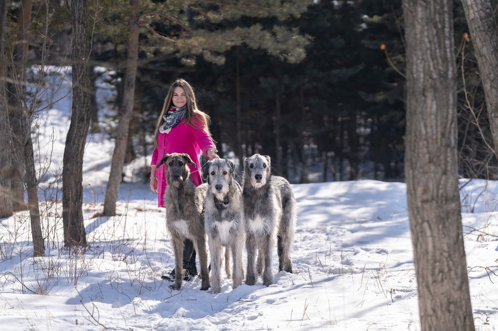 Фотография автора Елена Баврина