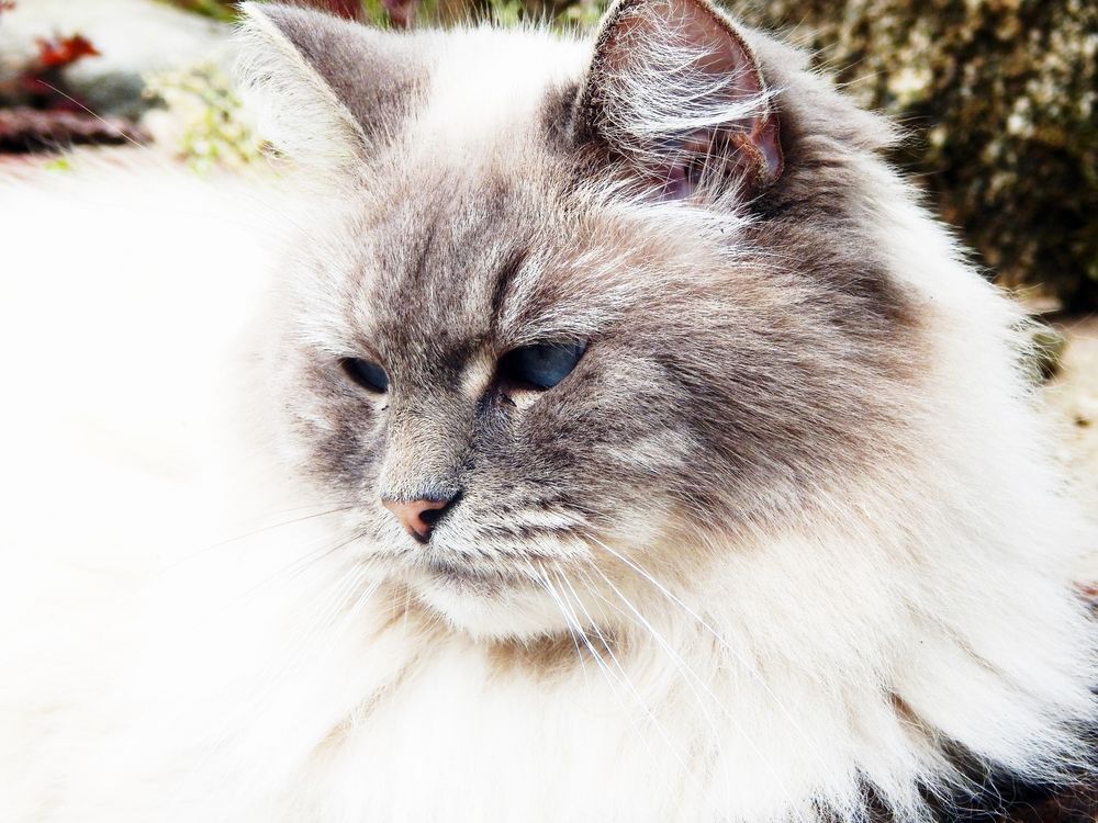 Photograph by Юрий Пучков