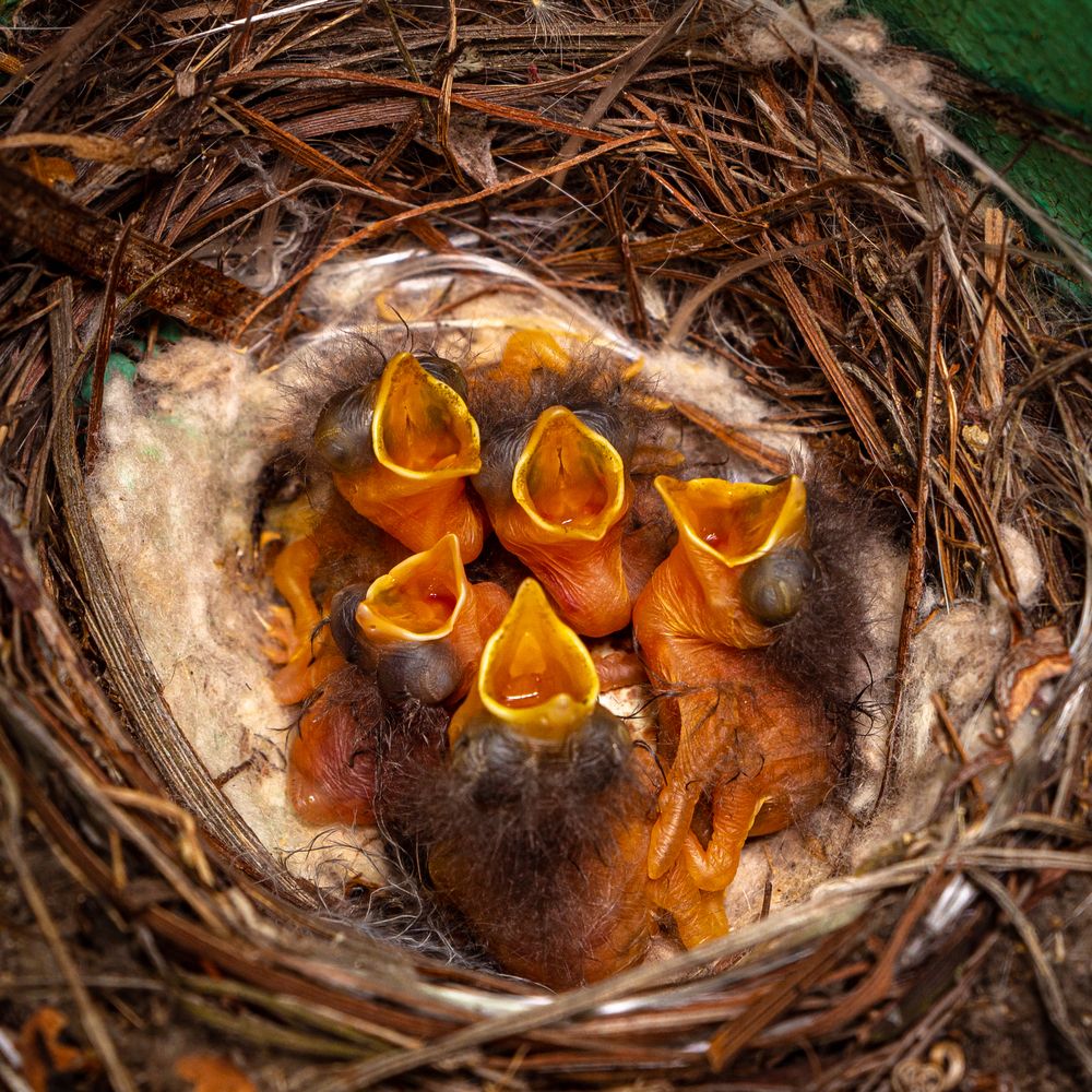 Photograph by Малащев Алексей